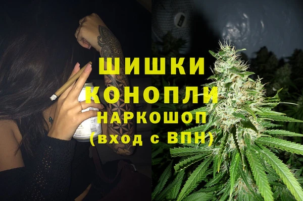 гашик Богородск