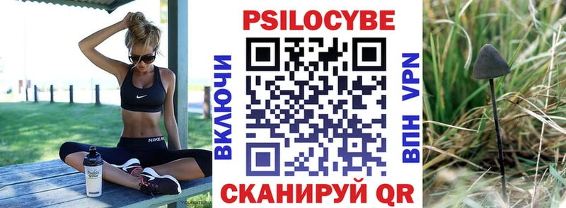 как найти закладки  Кизляр  Псилоцибиновые грибы Magic Shrooms 