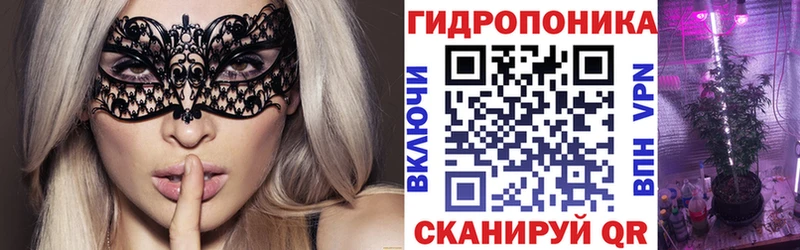 Шишки марихуана SATIVA & INDICA  mega   Кизляр  где купить наркотик 